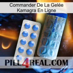 Commander De La Gelée Kamagra En Ligne 40